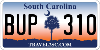 SC license plate BUP310