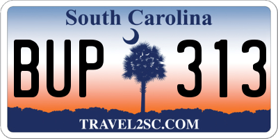 SC license plate BUP313