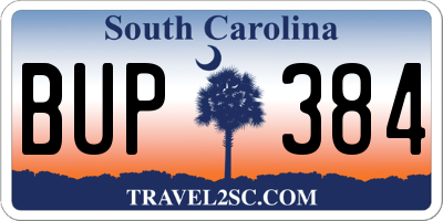 SC license plate BUP384