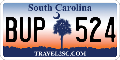 SC license plate BUP524