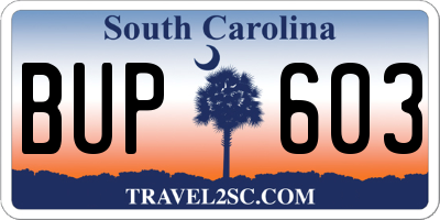 SC license plate BUP603