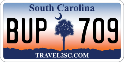 SC license plate BUP709