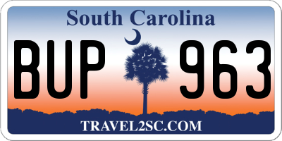 SC license plate BUP963