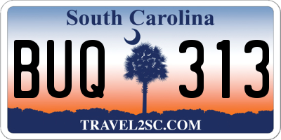 SC license plate BUQ313