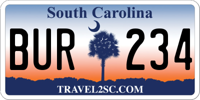 SC license plate BUR234