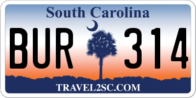 SC license plate BUR314