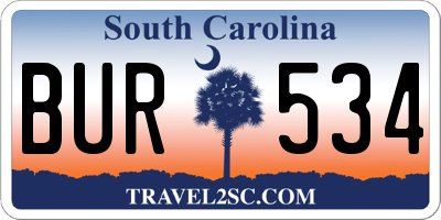 SC license plate BUR534