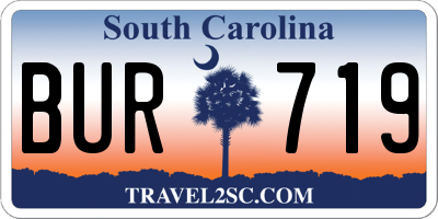 SC license plate BUR719