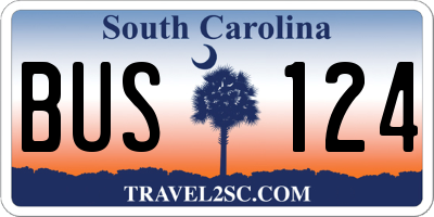 SC license plate BUS124