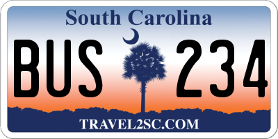 SC license plate BUS234