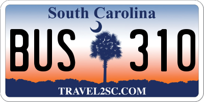 SC license plate BUS310