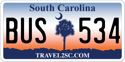 SC license plate BUS534