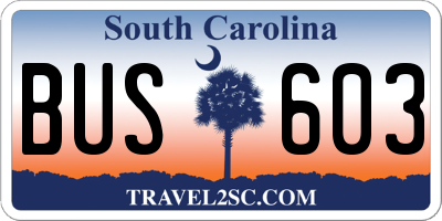 SC license plate BUS603
