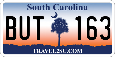 SC license plate BUT163