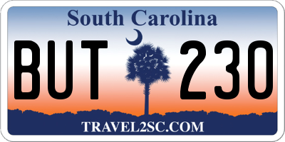 SC license plate BUT230