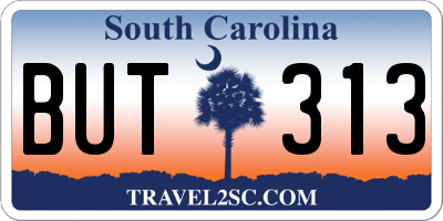 SC license plate BUT313