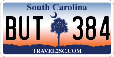 SC license plate BUT384