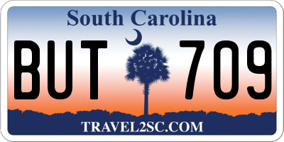 SC license plate BUT709