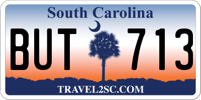 SC license plate BUT713