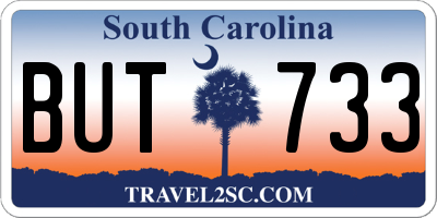 SC license plate BUT733