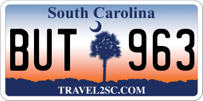 SC license plate BUT963