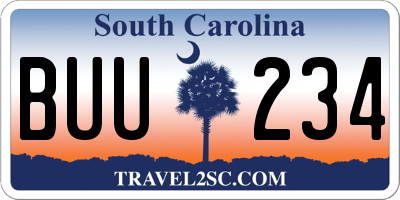 SC license plate BUU234