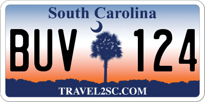 SC license plate BUV124
