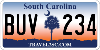 SC license plate BUV234