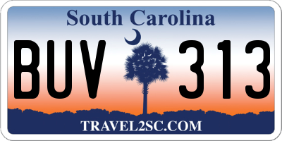 SC license plate BUV313