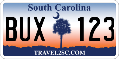 SC license plate BUX123
