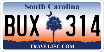 SC license plate BUX314