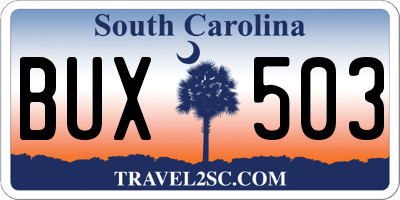 SC license plate BUX503