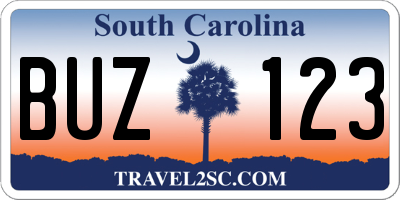 SC license plate BUZ123