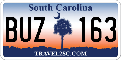 SC license plate BUZ163