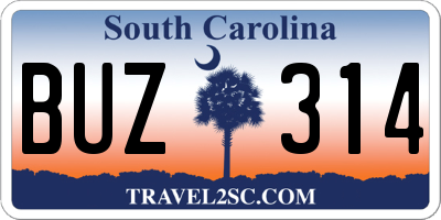SC license plate BUZ314
