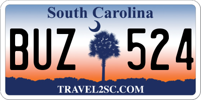 SC license plate BUZ524