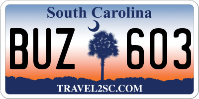 SC license plate BUZ603