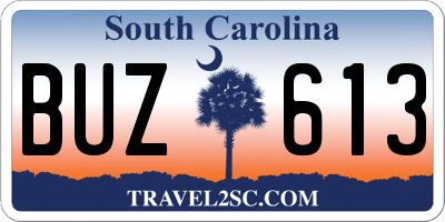 SC license plate BUZ613