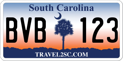 SC license plate BVB123