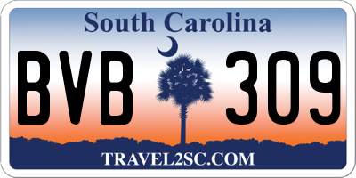SC license plate BVB309