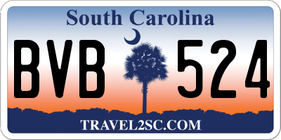 SC license plate BVB524