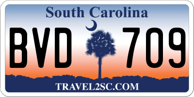 SC license plate BVD709