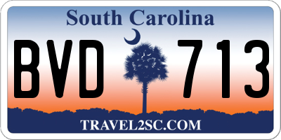SC license plate BVD713