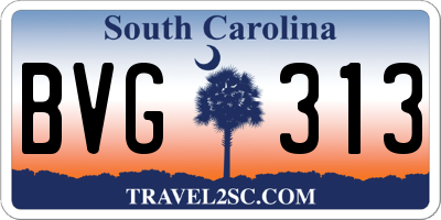 SC license plate BVG313