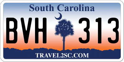 SC license plate BVH313