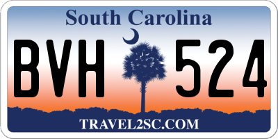 SC license plate BVH524
