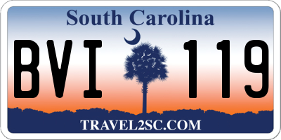 SC license plate BVI119