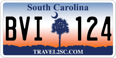 SC license plate BVI124