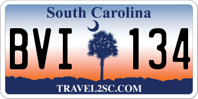 SC license plate BVI134