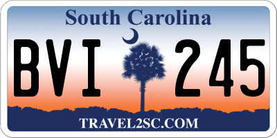 SC license plate BVI245